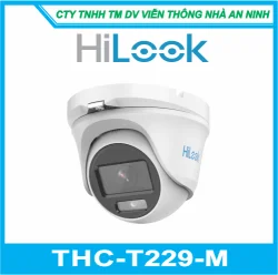 Camera Quan Sát HILOOK  THC-T229-M(Có màu ban đêm)