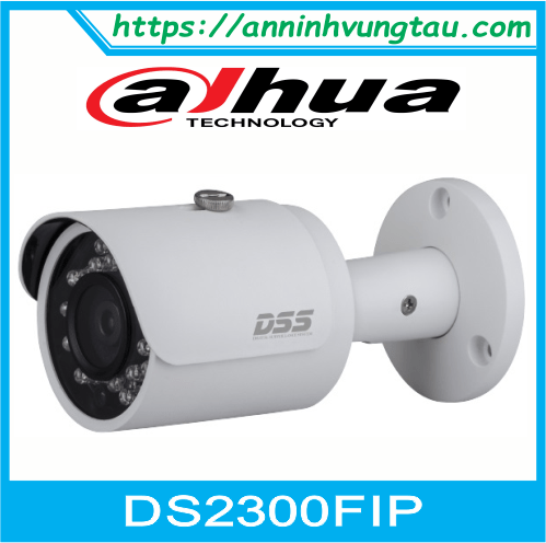 Camera Quan Sát IP DS2300FIP