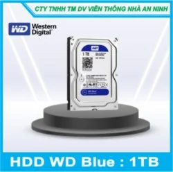 HDD WD 1000GB