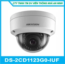 Camera Quan Sát IP Hikvision DS-2CD1123G0-IUF