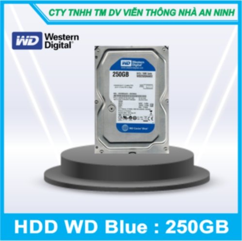 Ổ Cứng Western 250GB Chuyên Dụng Cho Camera Lưu Trử Dử Liệu